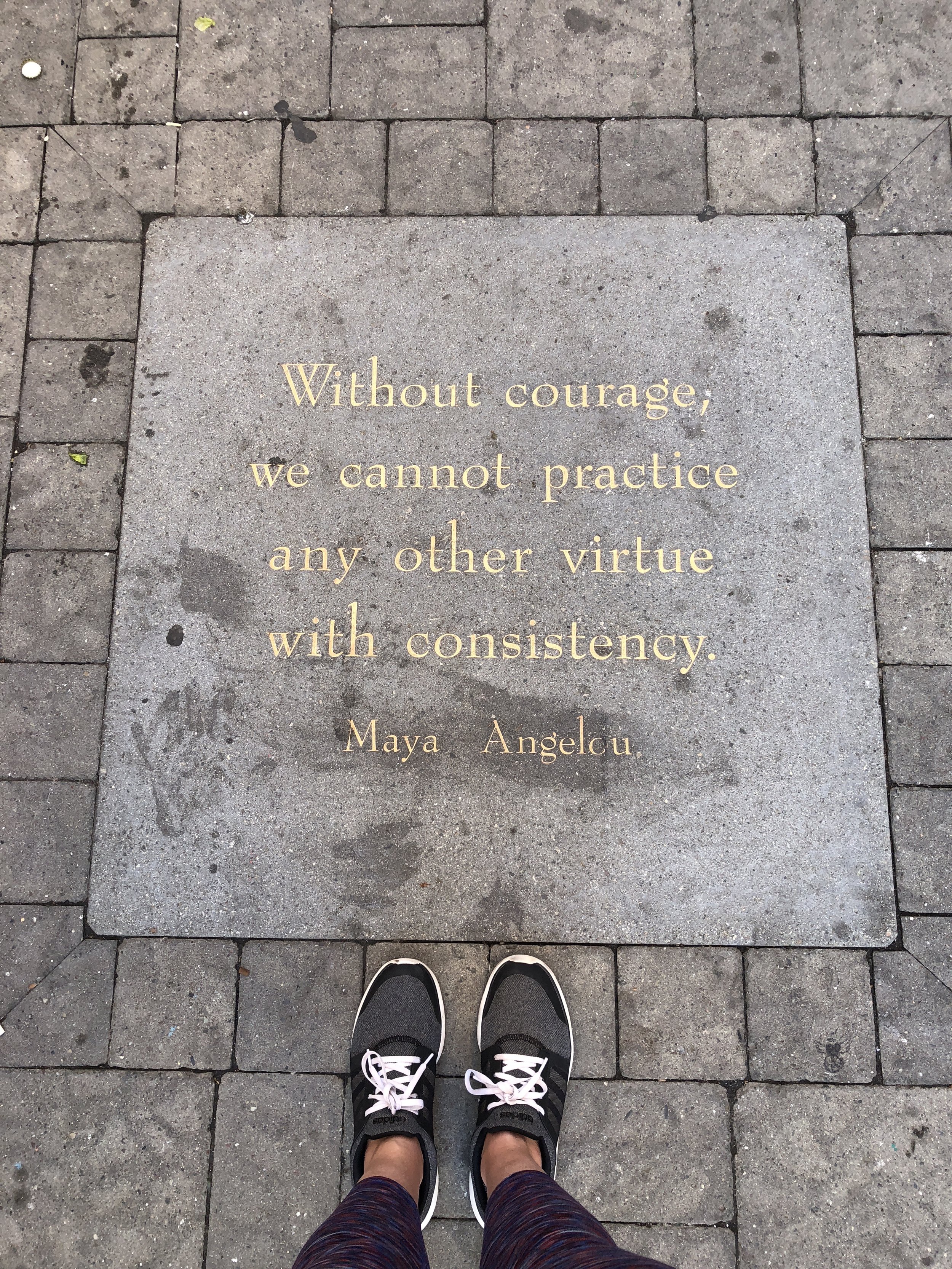 what happens in the book process