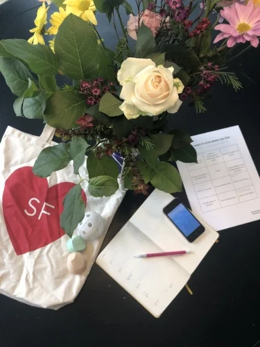 flowers, calendar, whiffle ball, sidewalk chalk, weather app, summer series grid on table