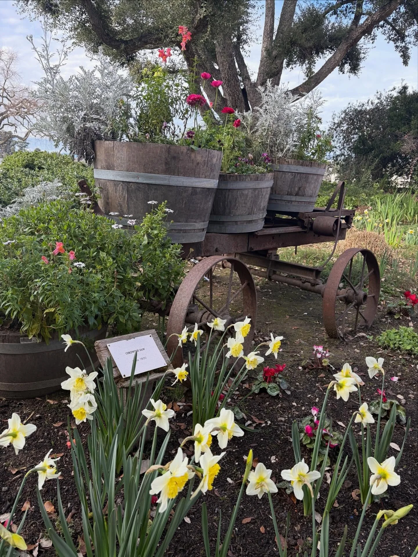 I want to be emptied of me
And so filled with You Lord
That people get You
When they get me. 

~ Lent 2026 prayer