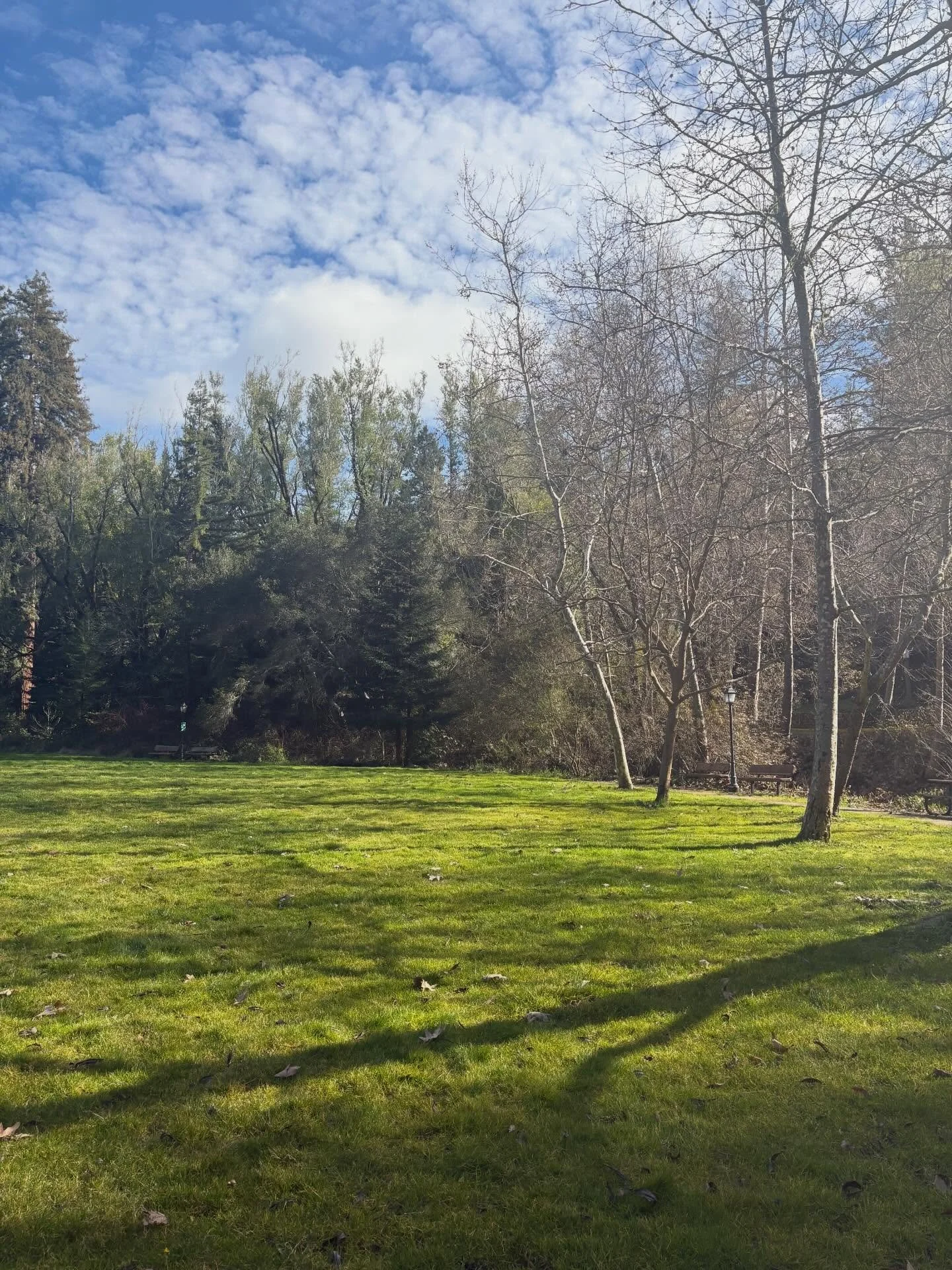 Life lately. @alphausa @renaissance.movement @epicchurchsf