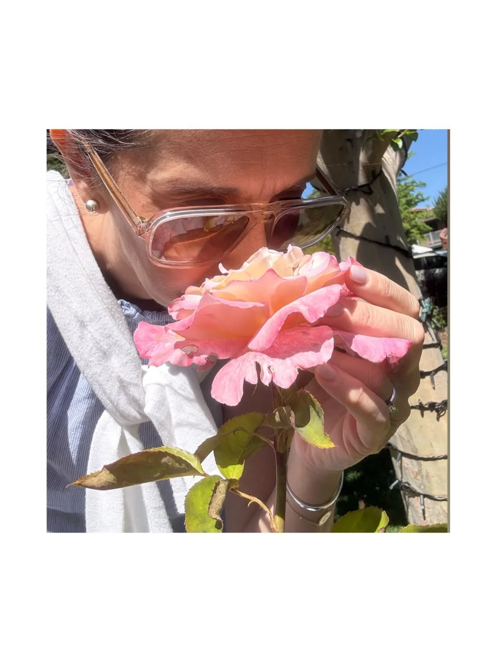 STOP 
And smell the roses
You&rsquo;ve got nothing to lose
And much to gain 
A deeper inhale
A better exhale
You&rsquo;ll walk differently 
And think a bit clearer too