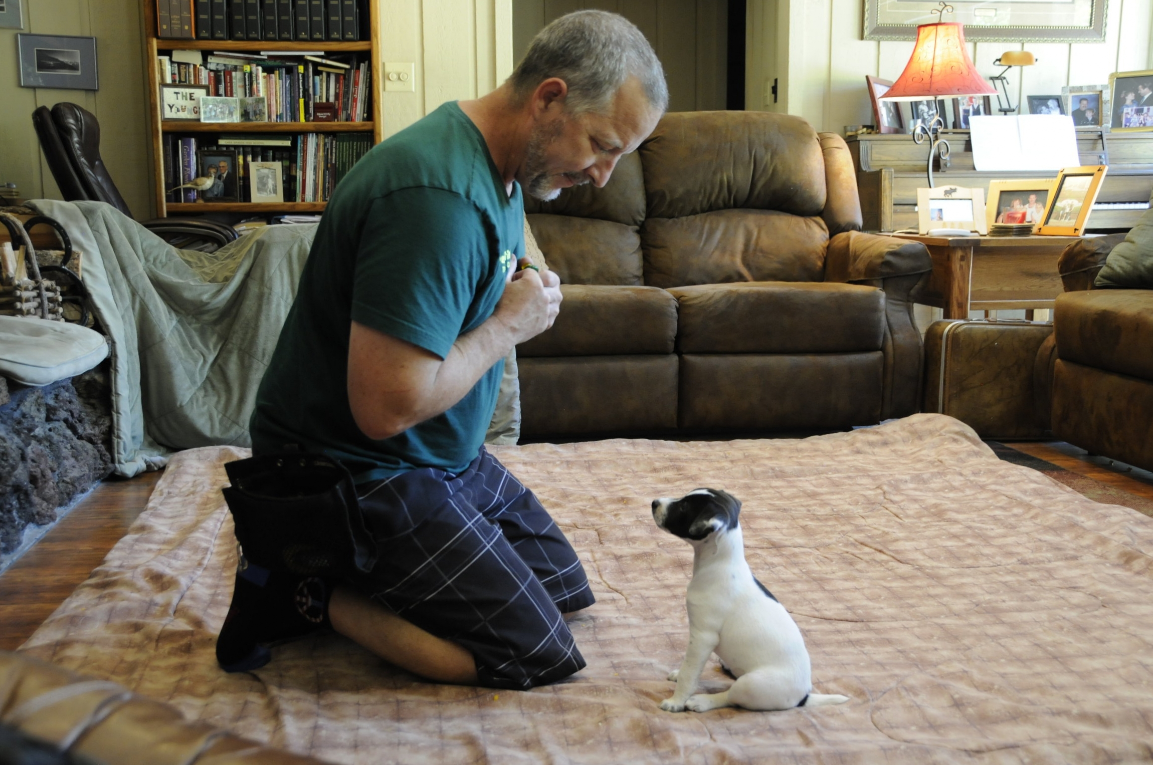The best private dog training and dog behavior consultation in Redding, Anderson, Cottonwood, Red Bluff, Palo Cedro, Bella Vista and Shasta Lake City, CA areas.