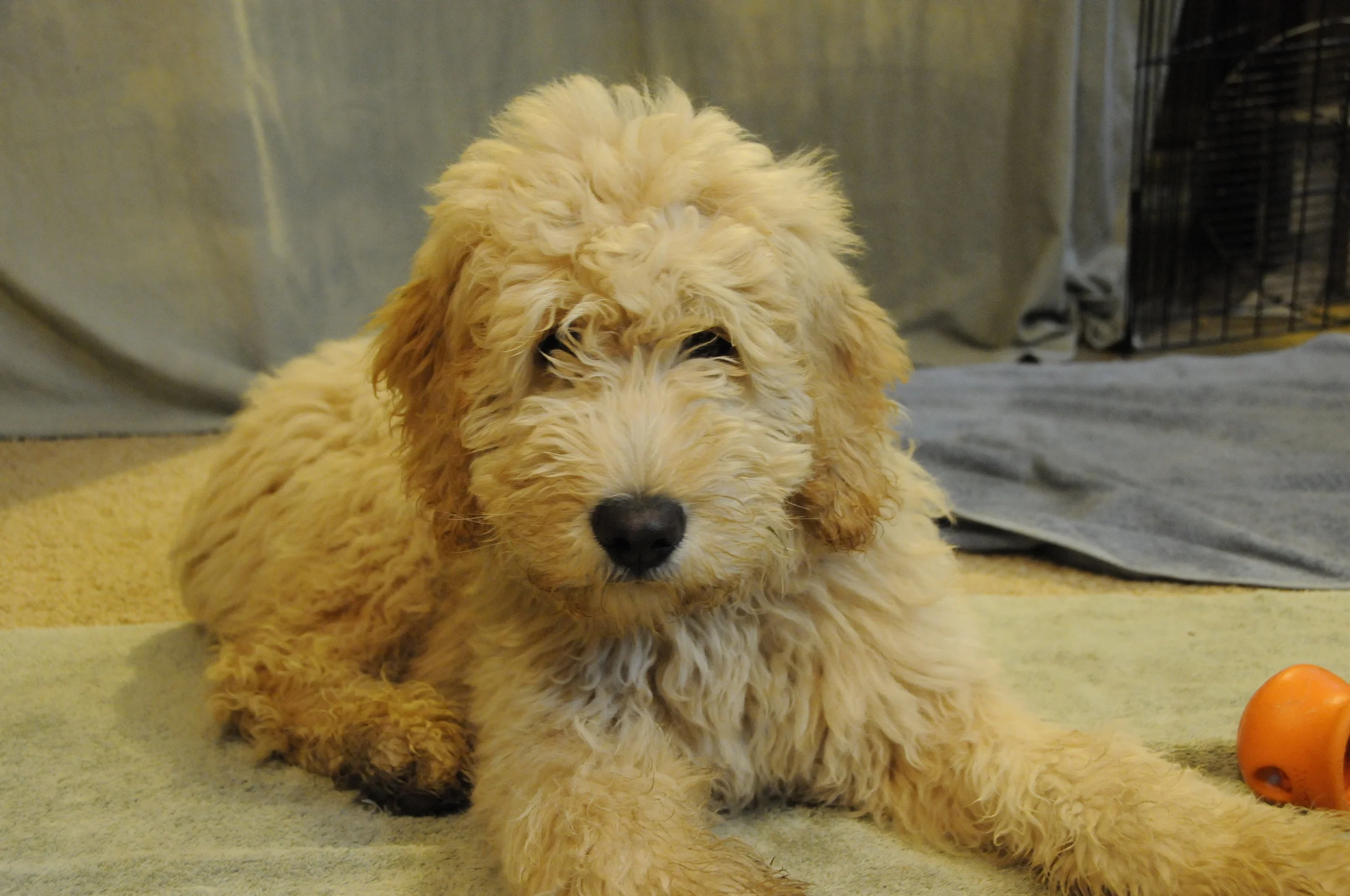 Management Isn't Training