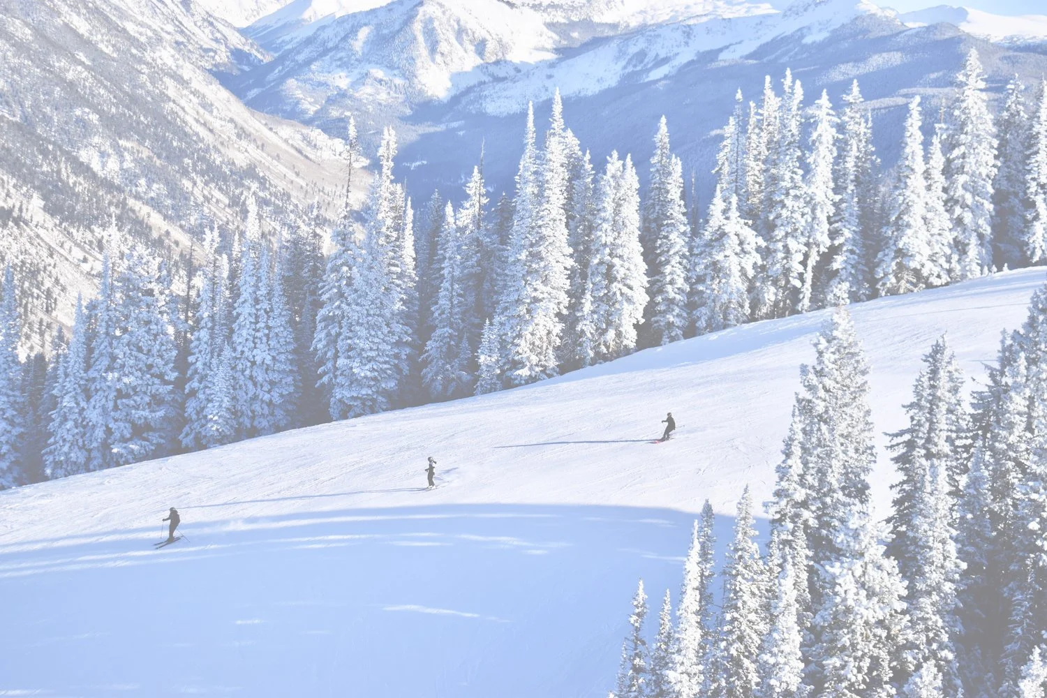 Wild_Luxuries_123_Ski.jpg