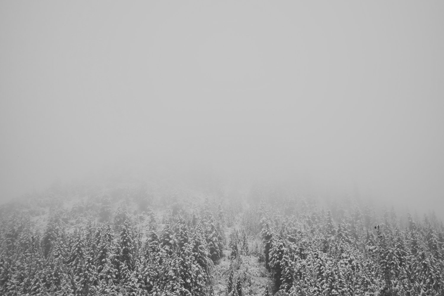 Snow Globe