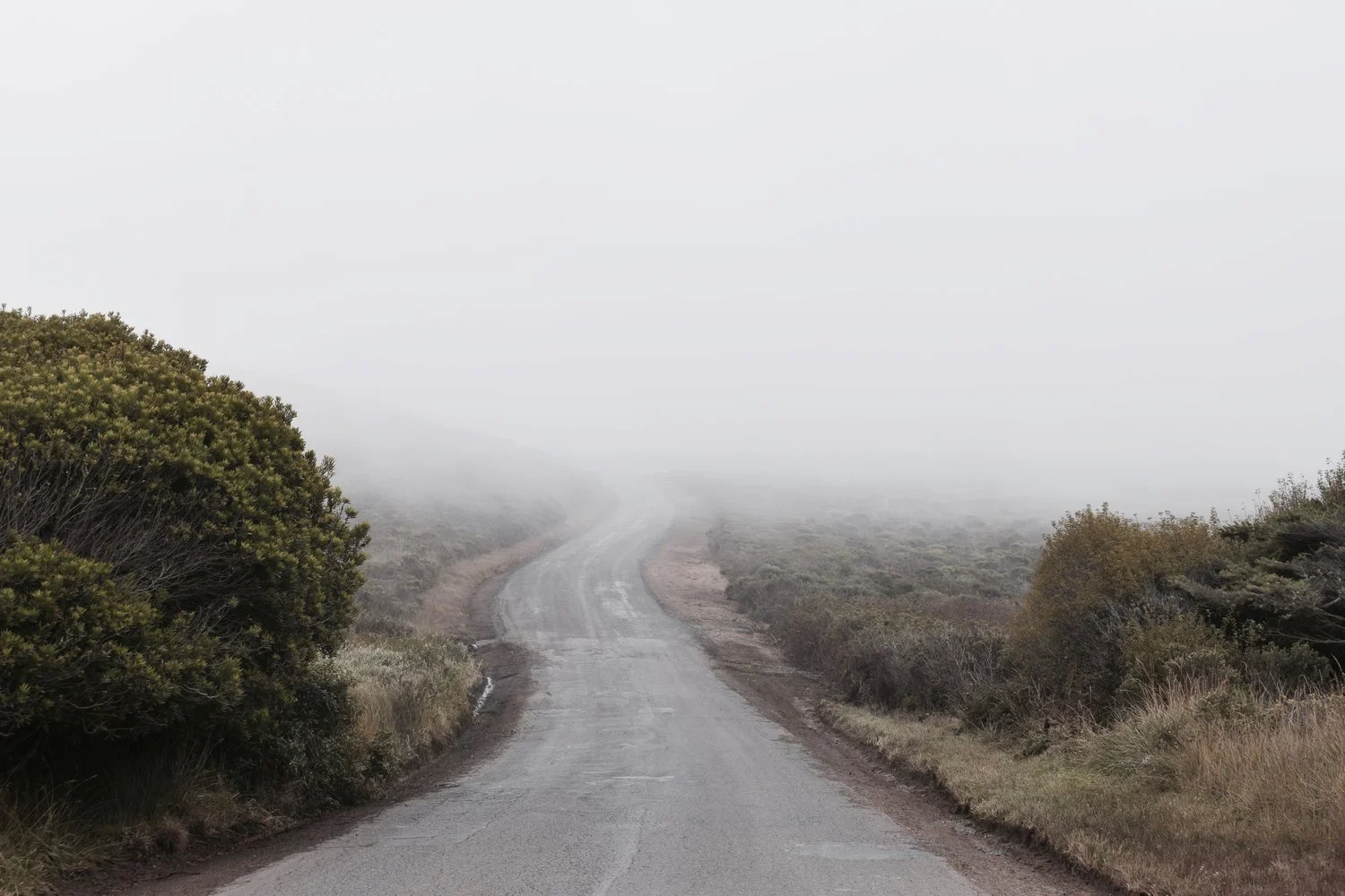 A Road Traveled