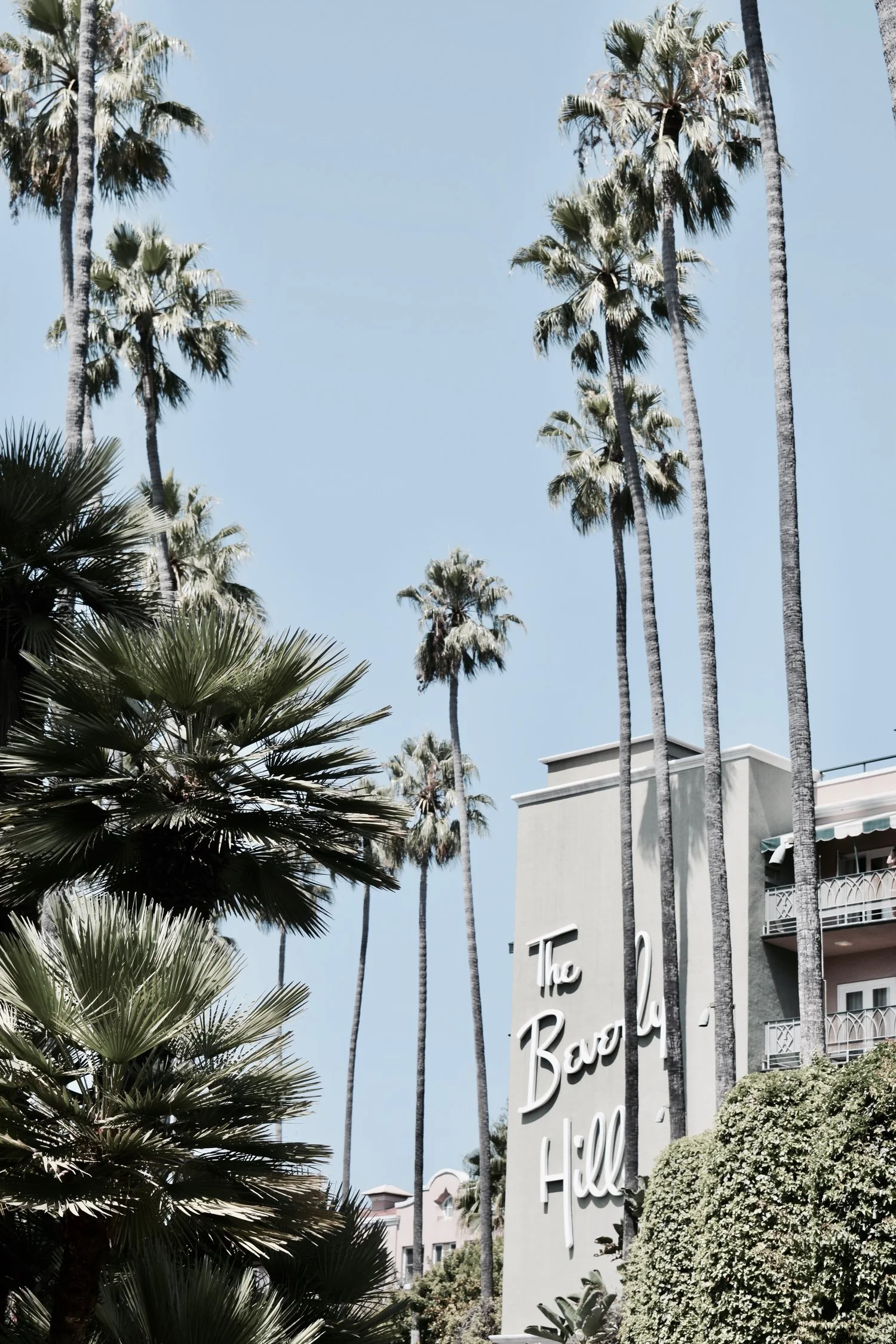 Wild_Luxuries_Beverly.jpg