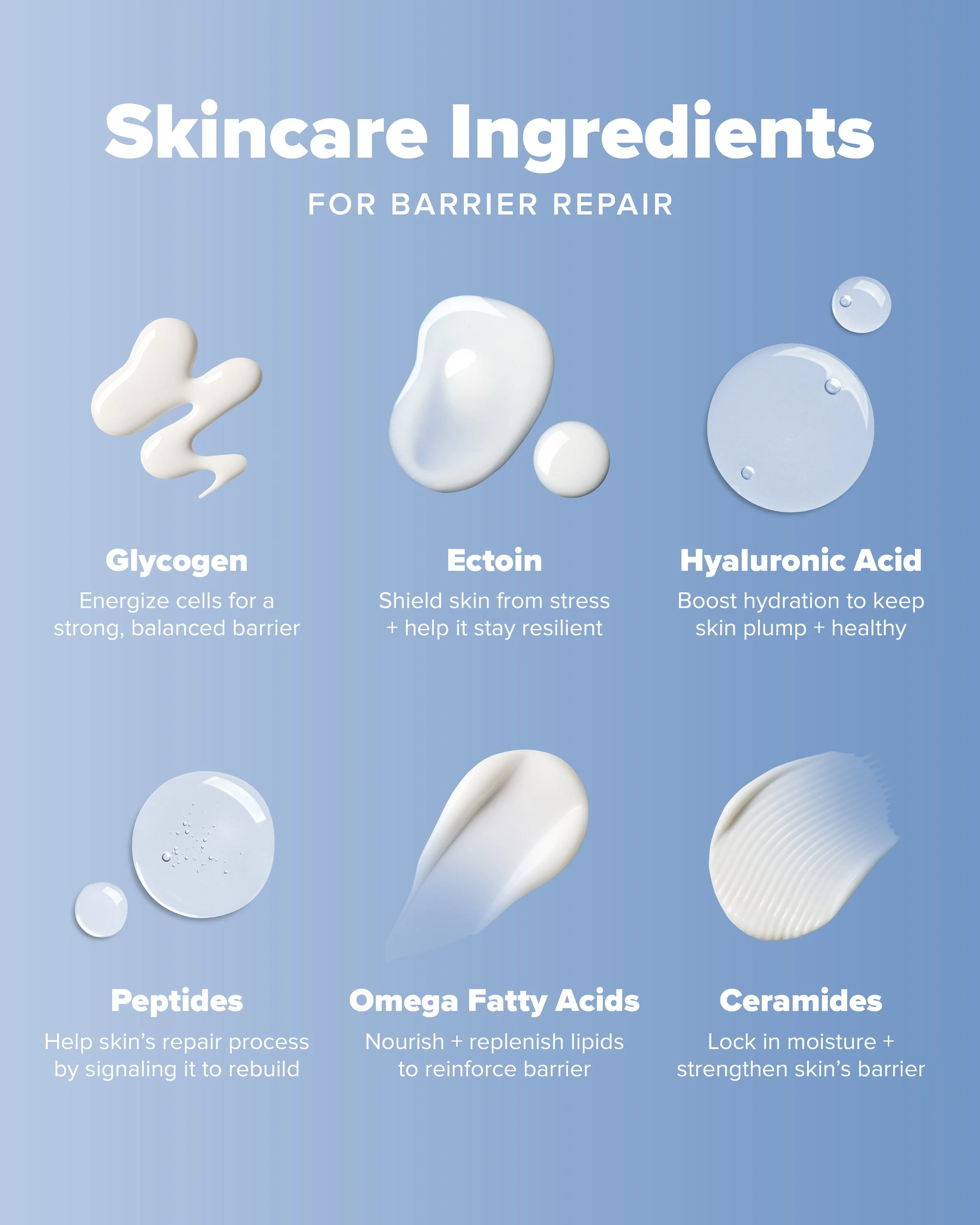 Skincare Ingredients for Barrier Repair 2025-FINAL.jpg