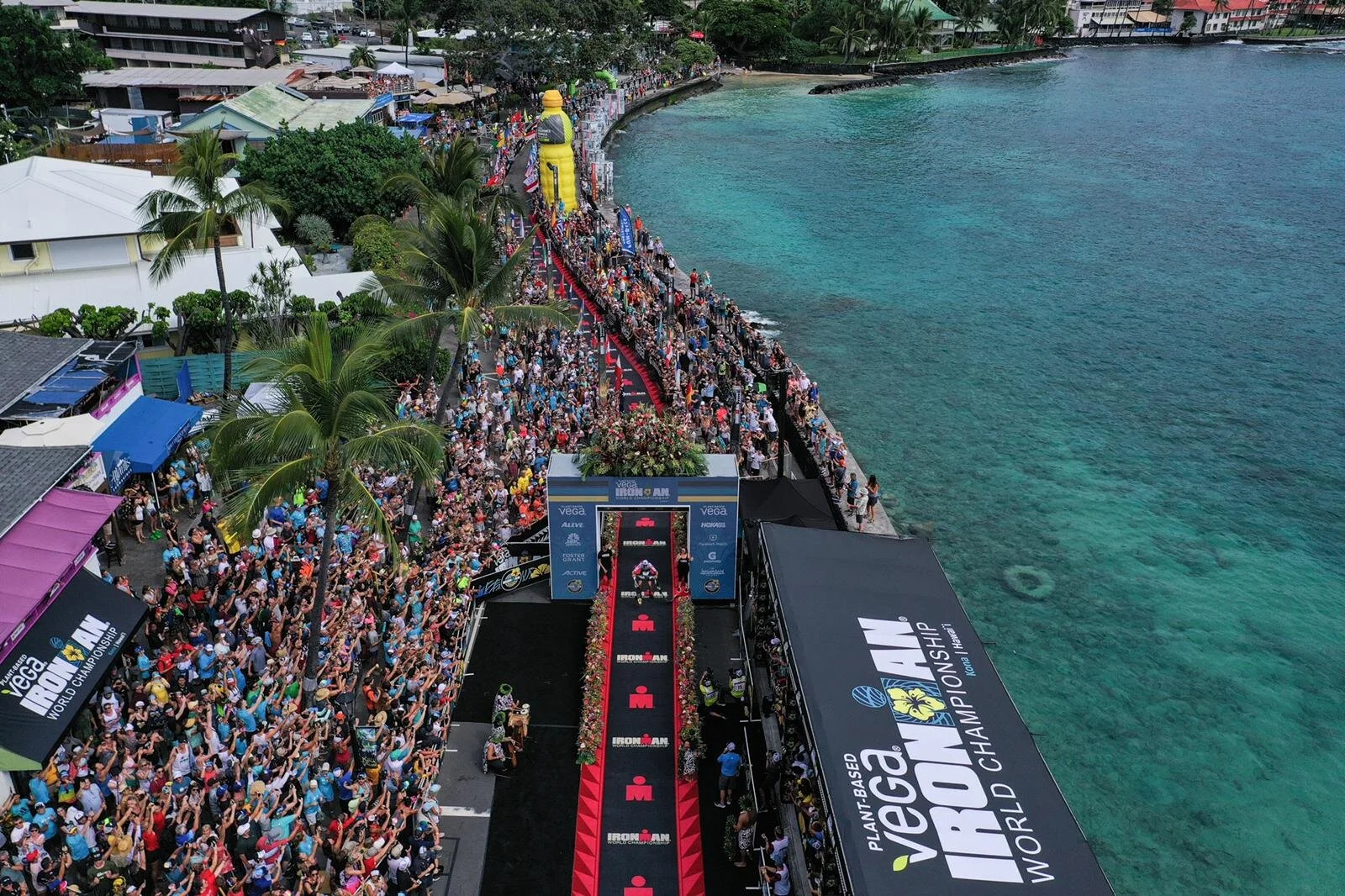KONA 2019 - A Review