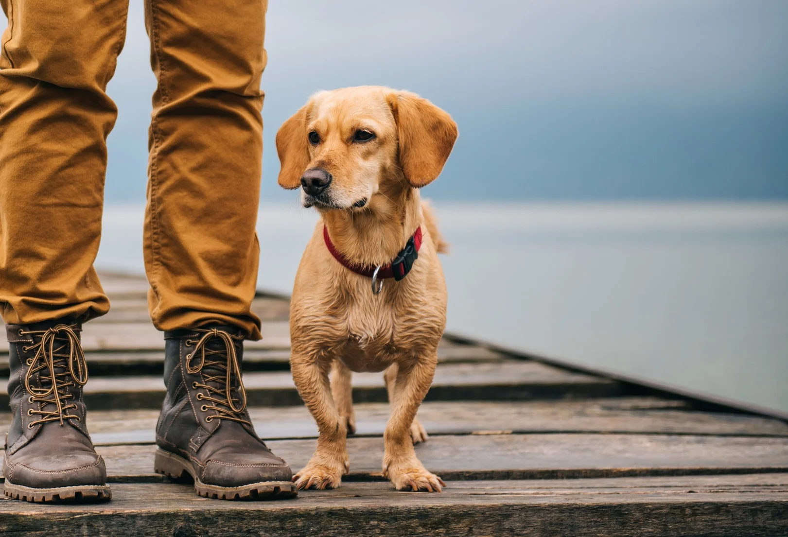 AdobeStock_116404233.jpg
