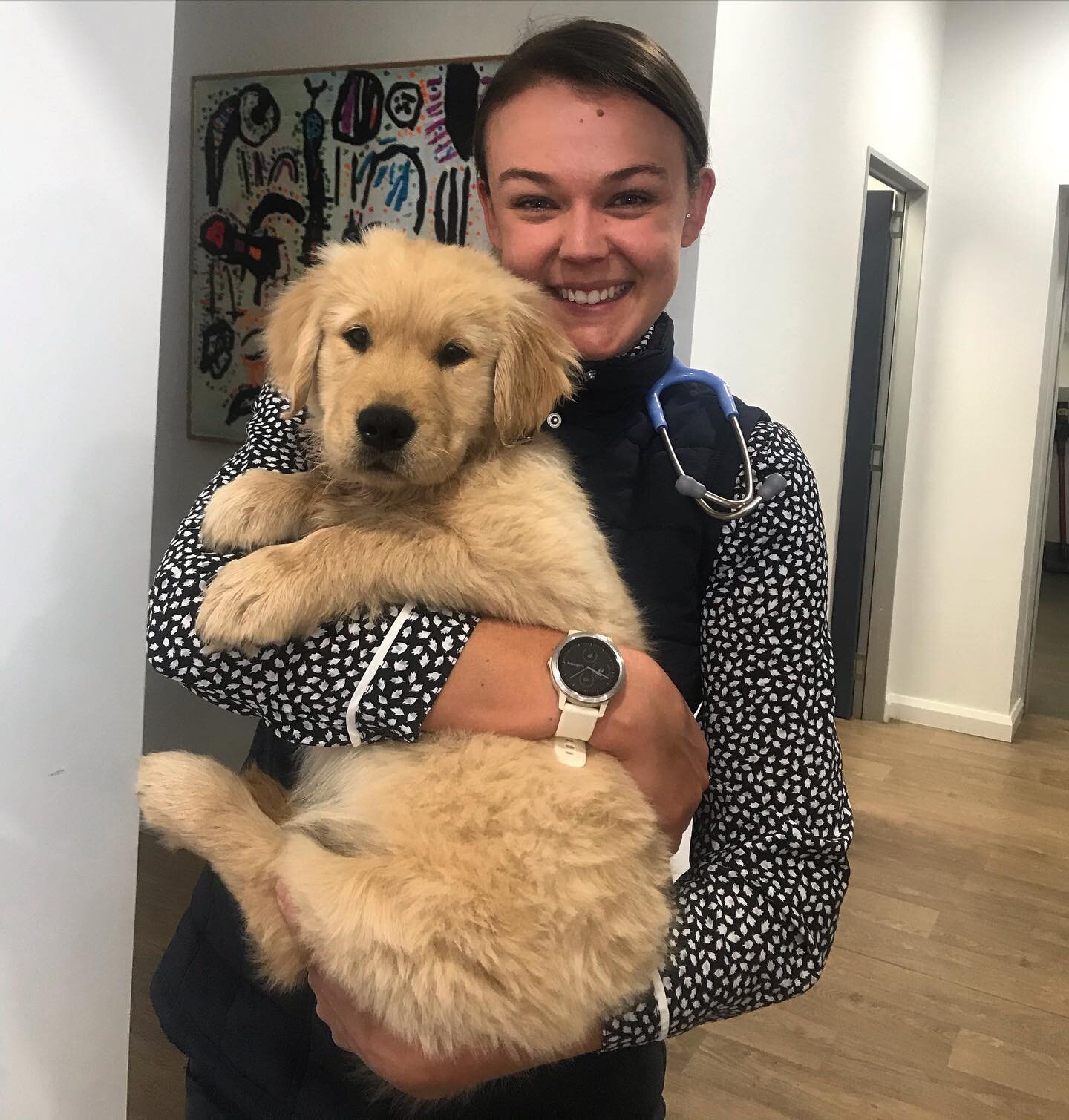 🐾 Meet Oliver 🐾 Dr Elly enjoyed some puppy love today after making sure Oliver was all up to date with his baby boosters ! #partofthefamily🐶 #babydog #puppycuddles #toowoombafamilyvets  #DrElly🧑🏼&zwj;⚕️ #puppyvaccinations