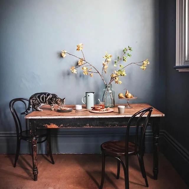 Kitten photobomb! The last few weeks I&rsquo;ve been working through @nataliewalton brilliant @thestylingmasterclass It&rsquo;s been so good to really drill deep into the theory of styling and learn how to better evaluate my work.  You know when you do something and it&rsquo;s not quite right, but you can&rsquo;t figure out why? The self assessment checklist is a game changer for me.  Here&rsquo;s an outtake from this week&rsquo;s homework...an autumnal breakfast scene, with Les the kitten pouncing on the toast. .
.
.
.
.
.
.
#thebowiereno #heritagehouse #historichome #edwardianhouse #edwardianhome #edwardianarchitecture
#periodproperty #tasmaniancountryhouse #edwardian #oldisbeautiful #autumnalvibes #thestylingmasterclass 
#countryhouse #howihome #moneypit #oddhouses #myeclectichome 
#restorationproject #huonvalley #periodhomesofinstagram #deliciousdarkdecor #bespokecolour #heritagecolour #myperiodhomestyle #lesthekitten #porterspaint #bluesteel #thonetaustralia