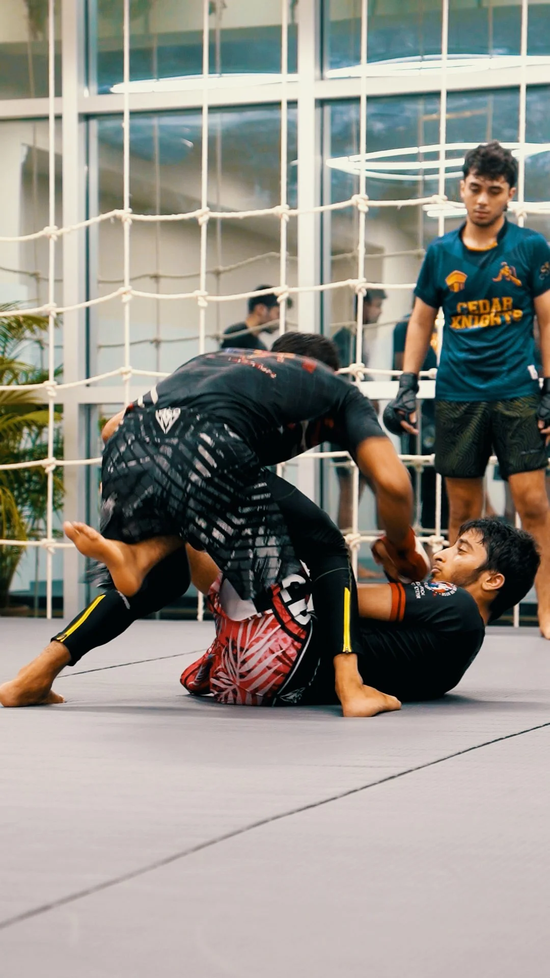 Sequence 10.00_05_12_19.Still011.jpg