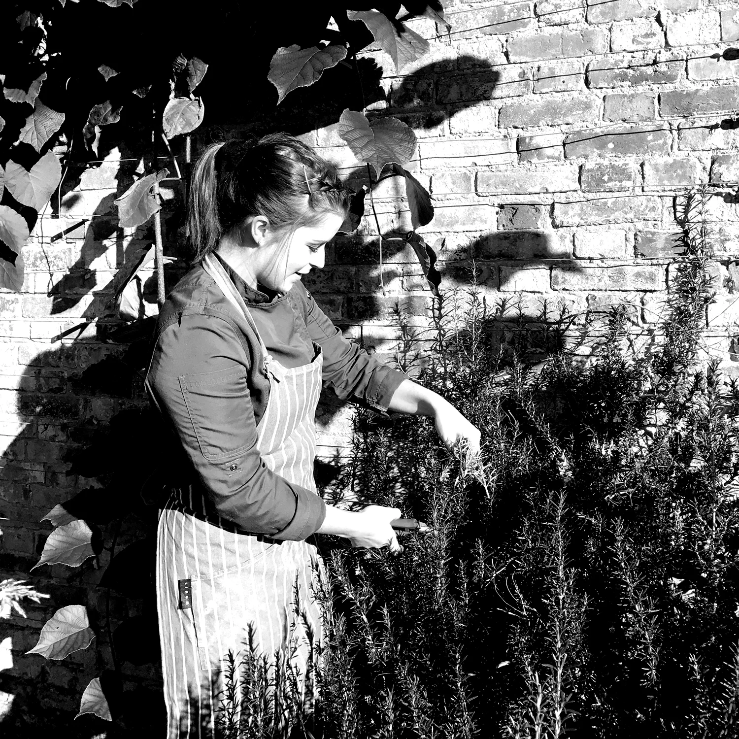ROSA SCOTT - SENIOR CHEF