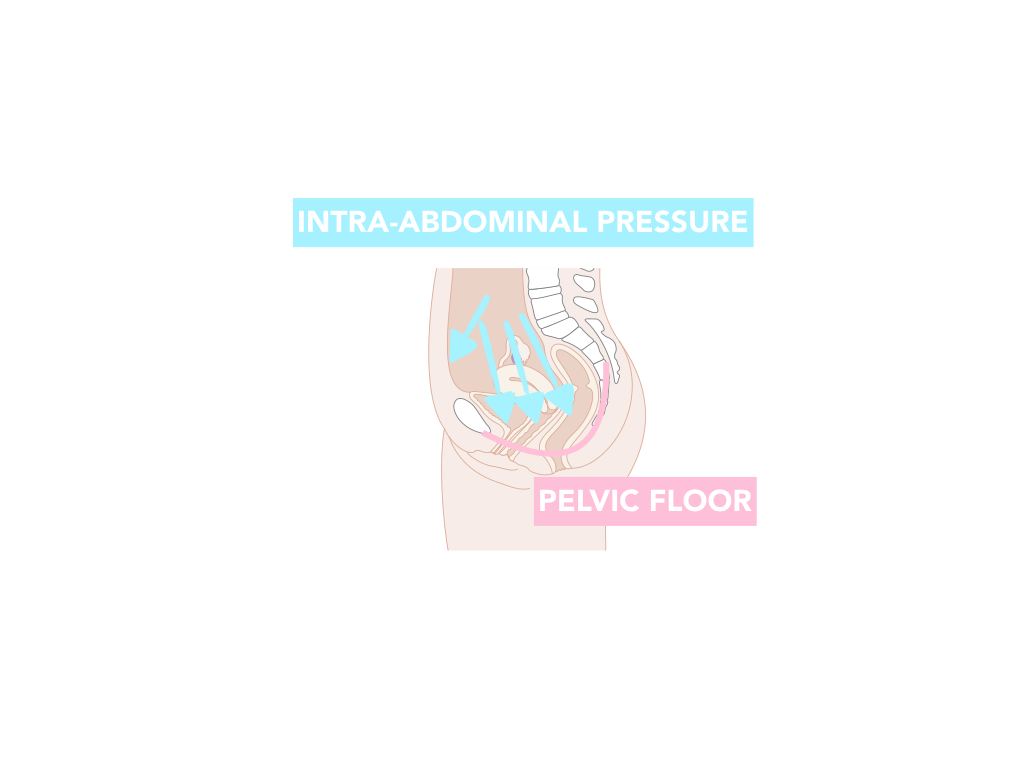 PELVIC FLOOR.001.jpeg