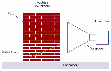 ani-schema.gif