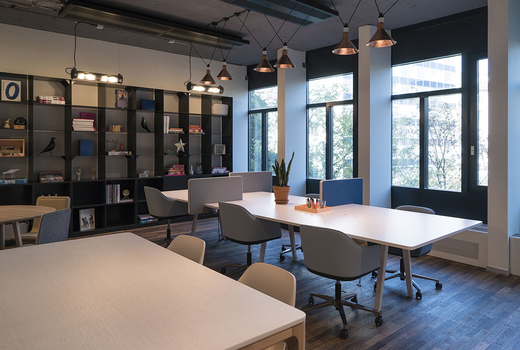 Spaces co-working back .jpg