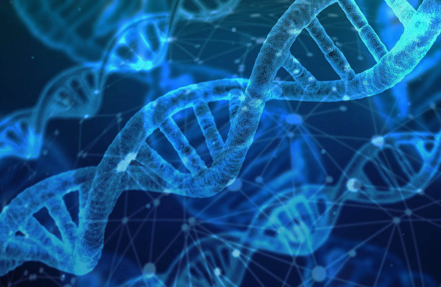 dna-3539309_1920.jpg