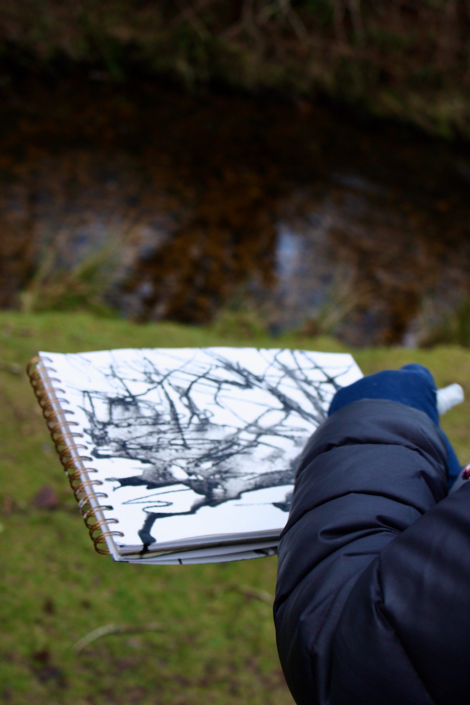 Dartmoor Brook.jpeg