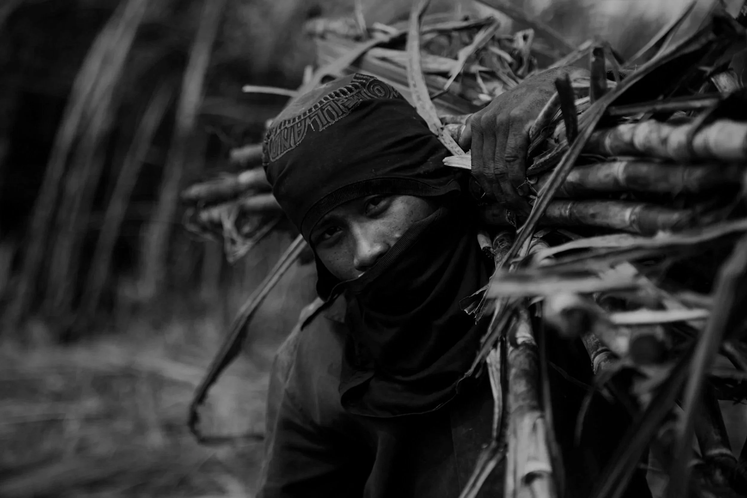 A person lying among tall grass or reeds, wearing a beanie hat and a dark jacket, partially obscured by the foliage, in a black and white photograph.