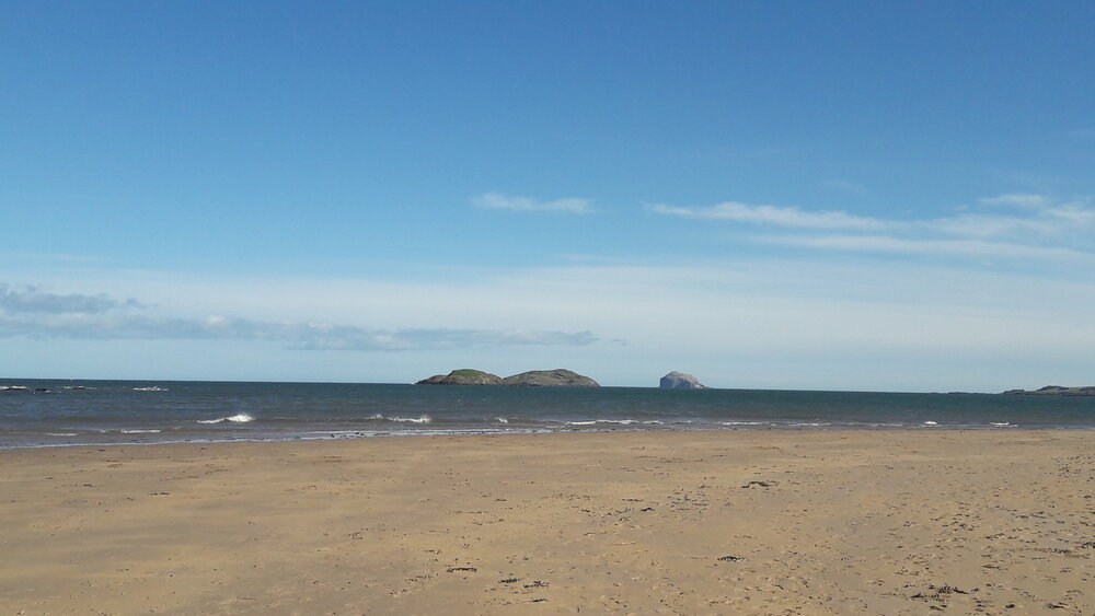 Spring walk on the beach