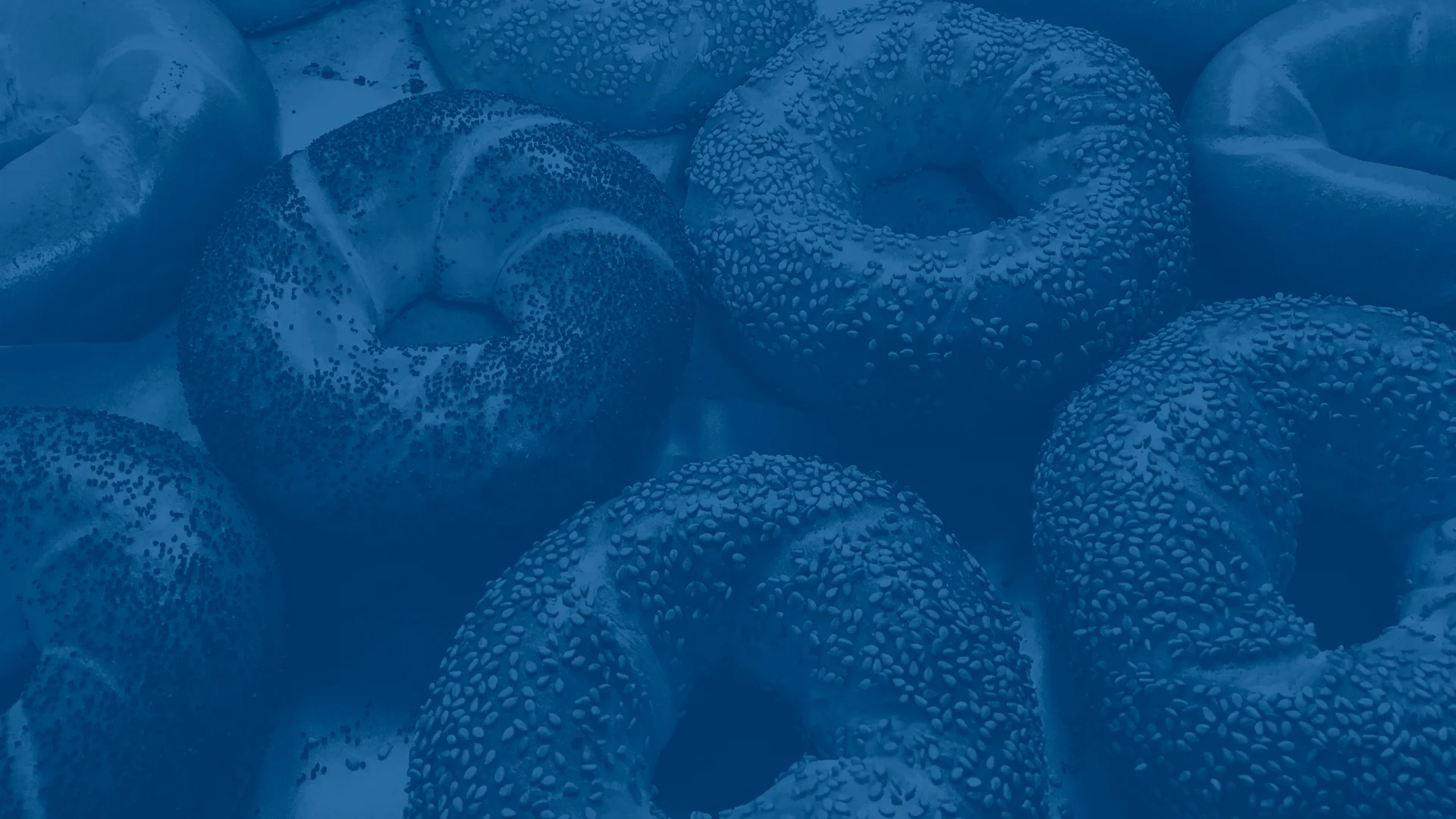 bagel-banner.jpg