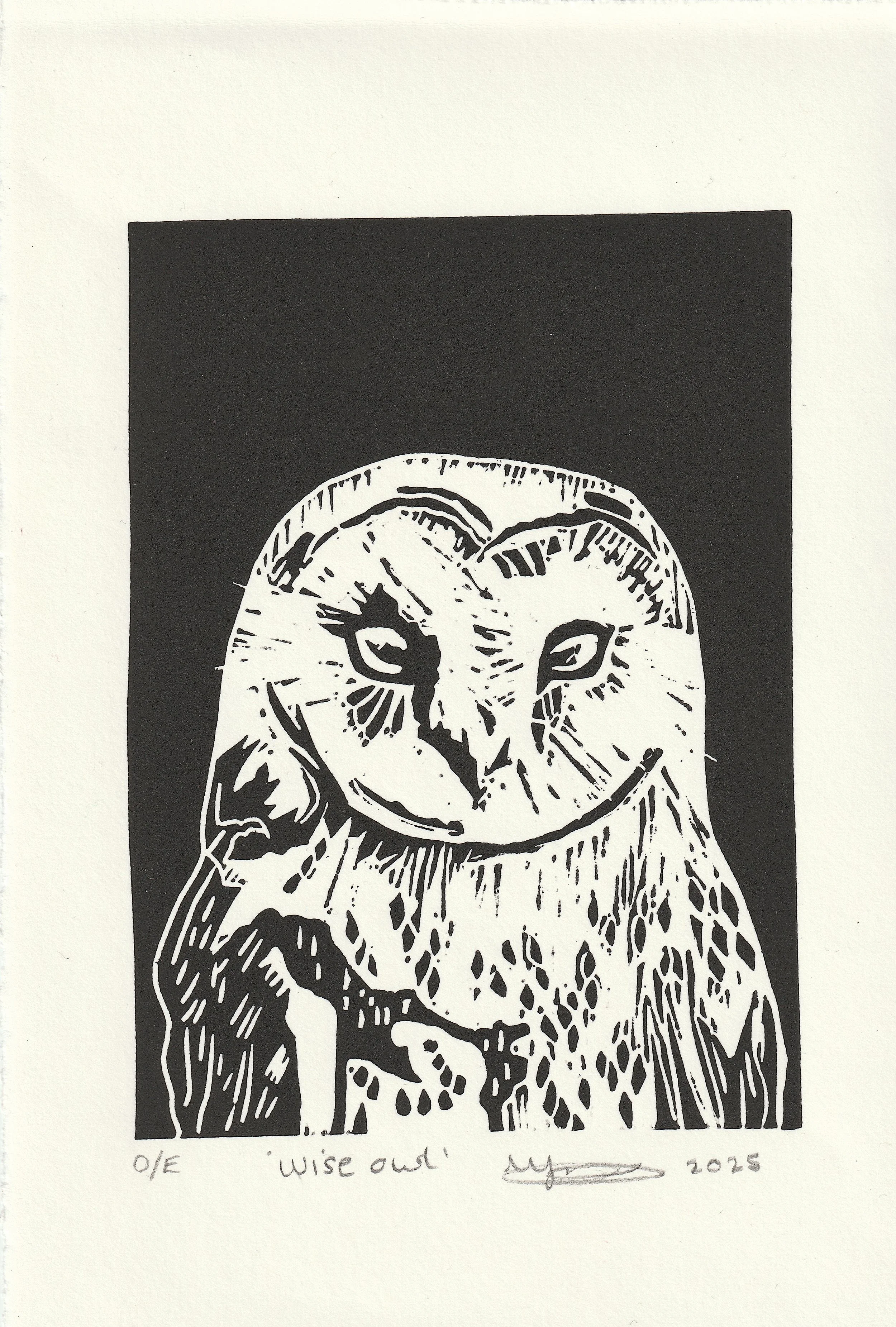 Wise Owl 2025.jpg