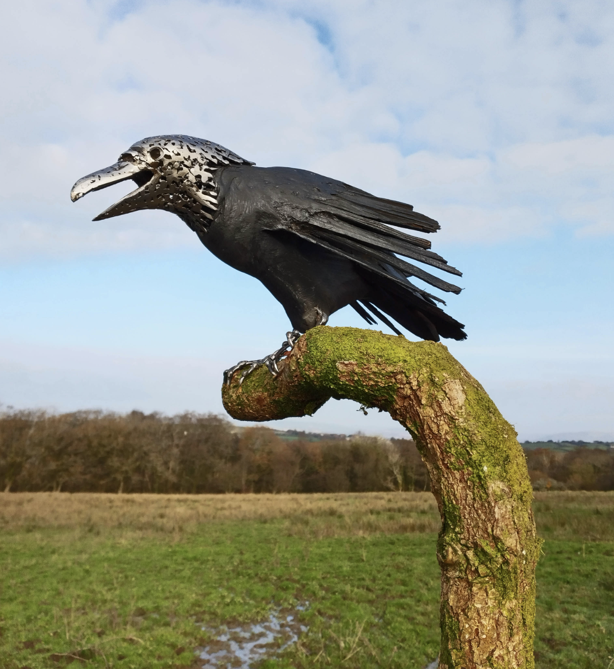 Screenshot 2026-03-11 at 18.00.26.png