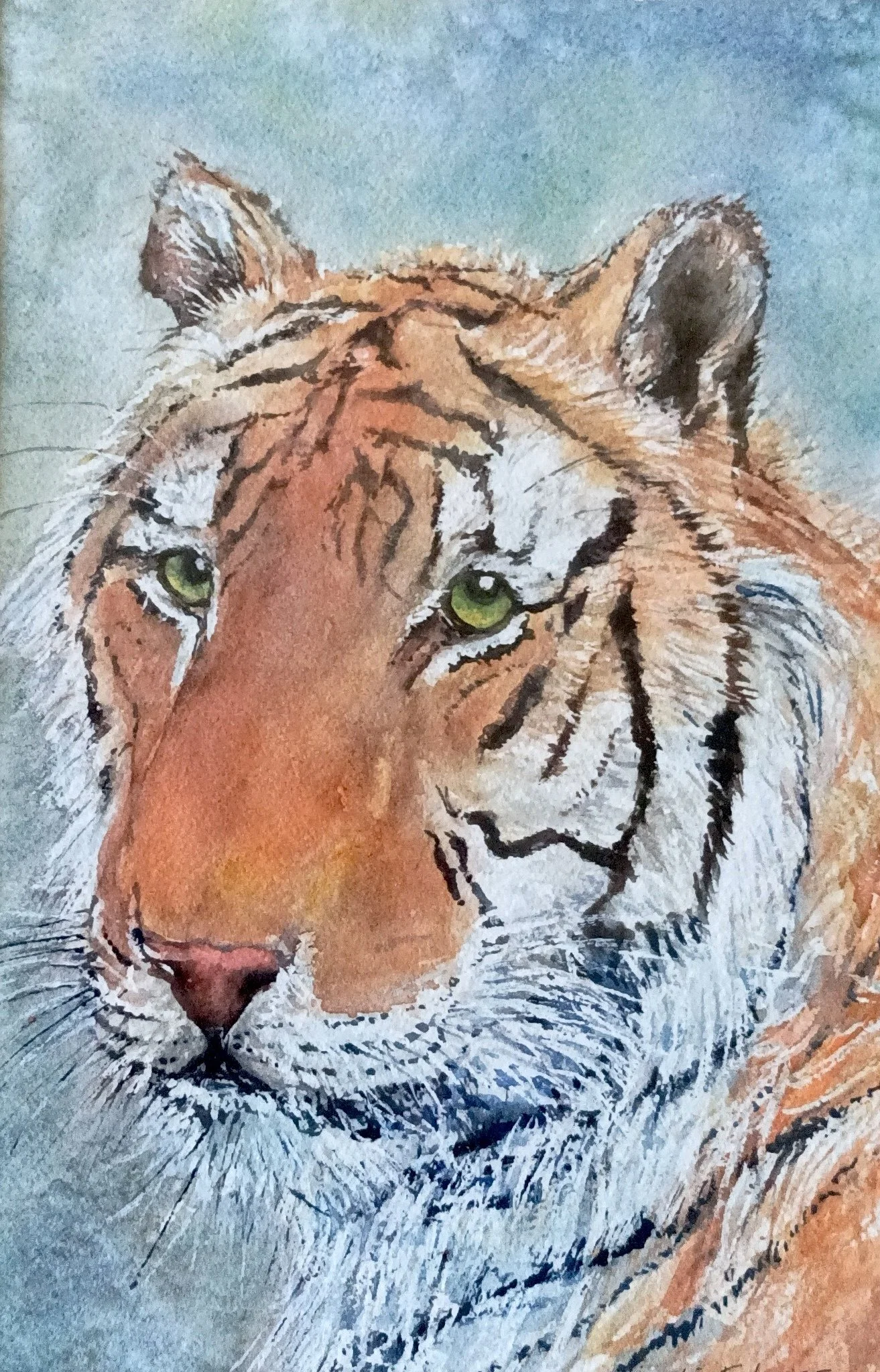 Christine Falconer (2026)