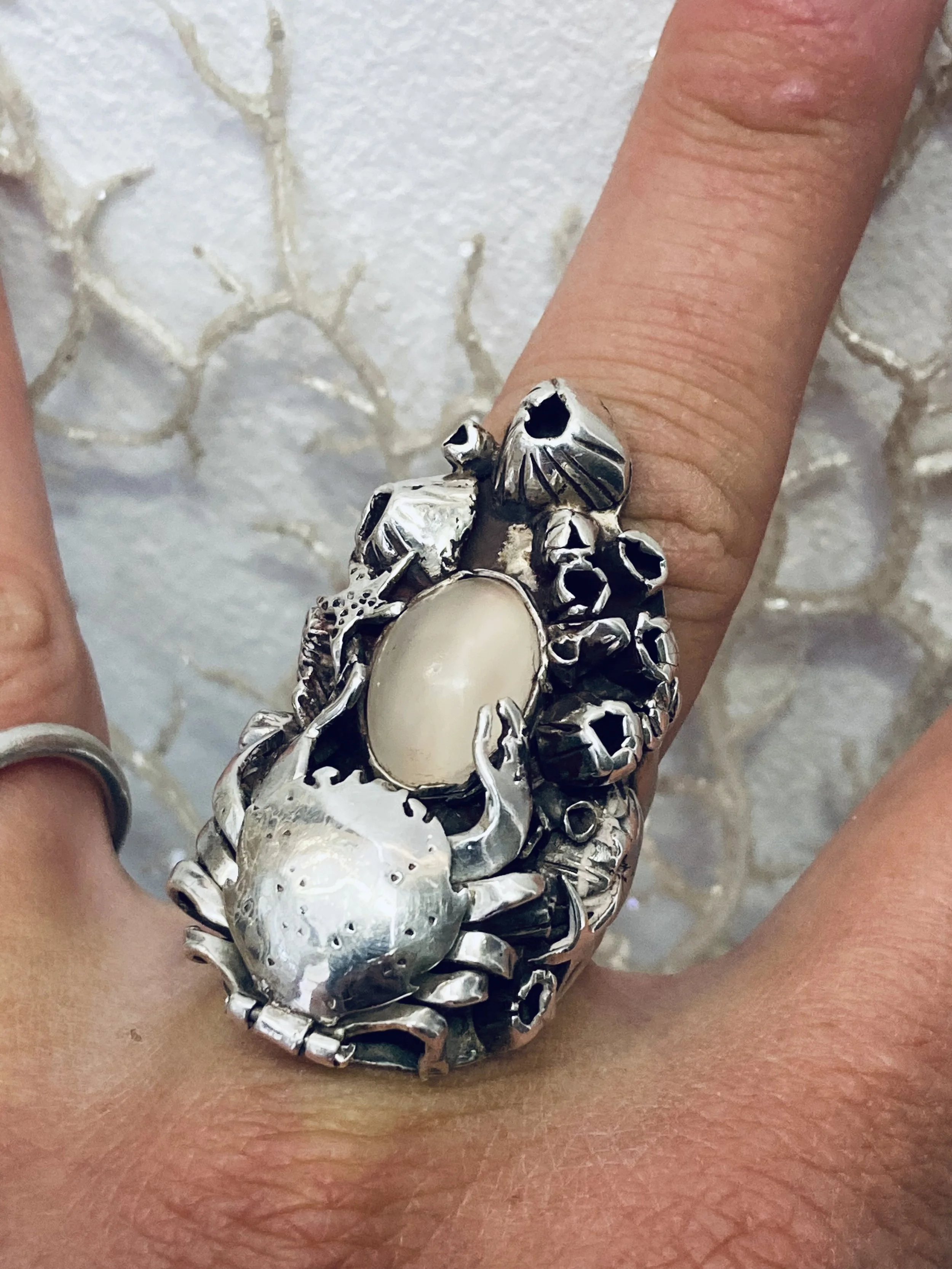 PHILLIPPA DAVIES (2026)