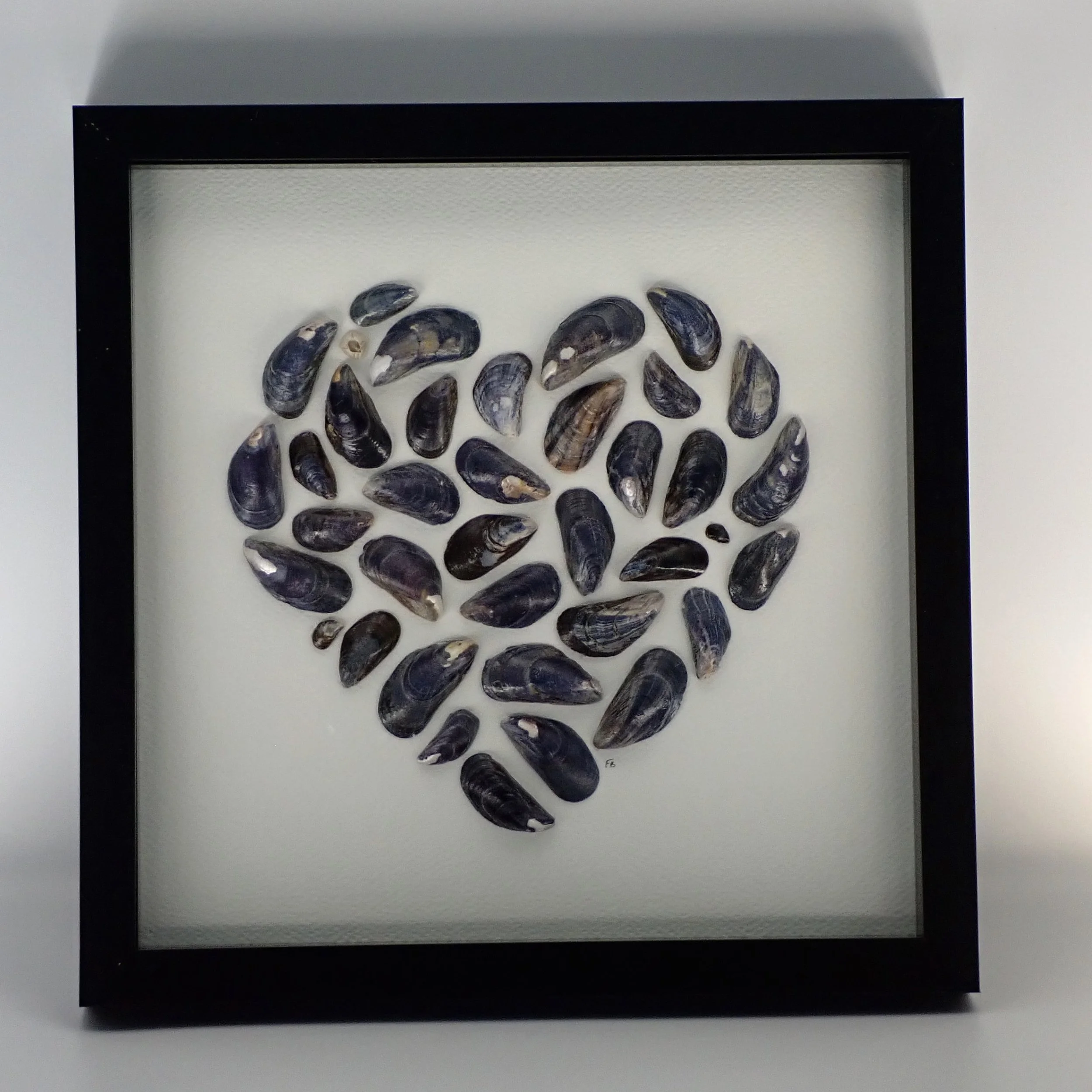 Mussel+heart+large+10x10+no+mount.JPG