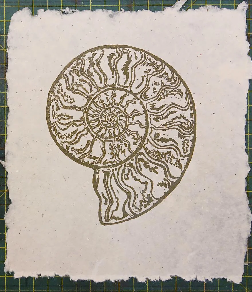 JOHN BANFIELD (2026)