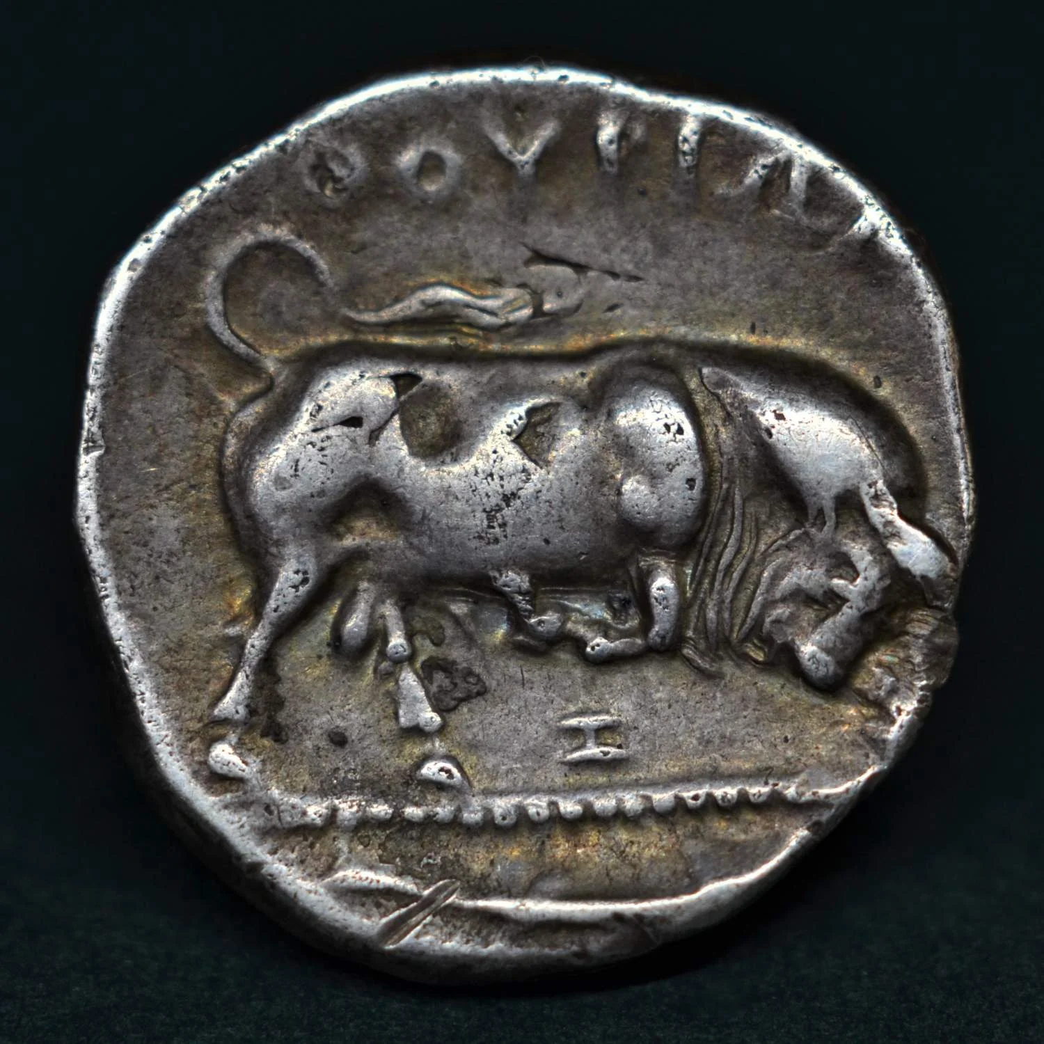 SILVER STATER OF THOURIOI, LUCANIA, 350-300 BC.