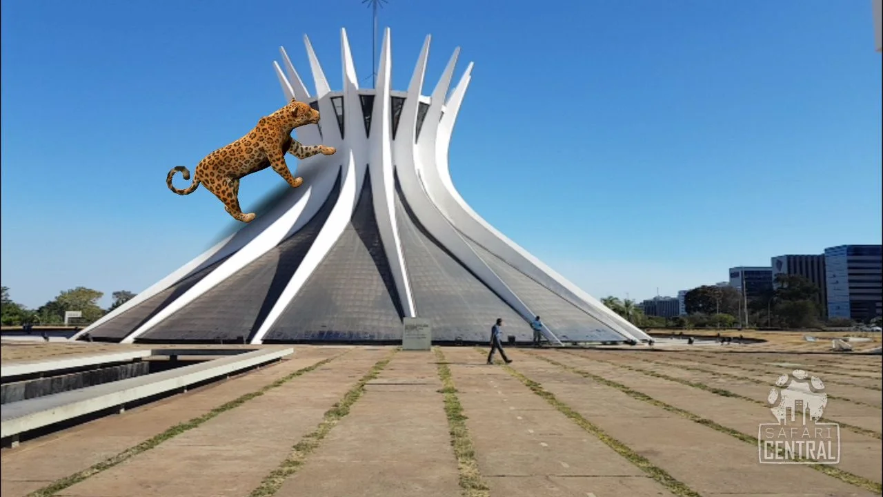 Atiaia in Brasilia 01.jpeg