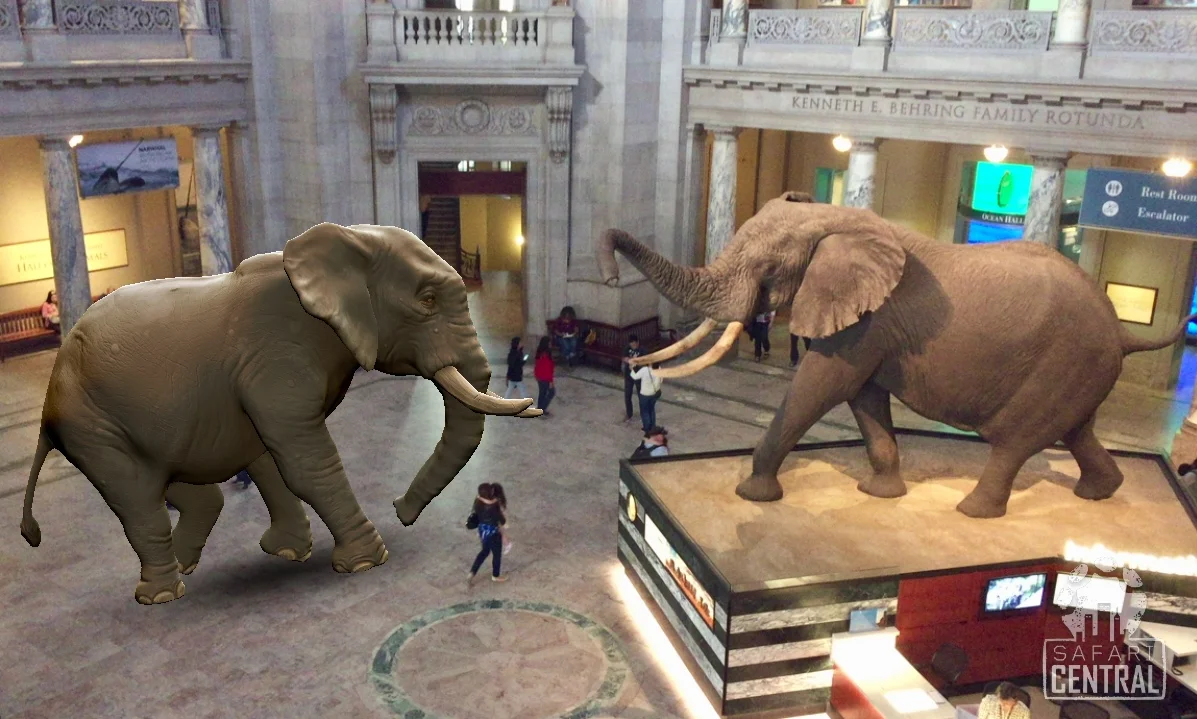 augmentedreality_wildlife.jpg