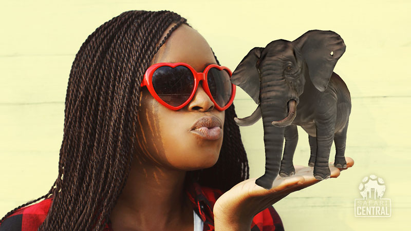 SafariCentral_ar_animalheroes_elephant_S.jpg