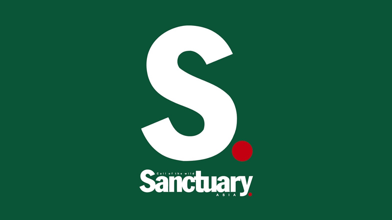 sanctuary_logo.jpg