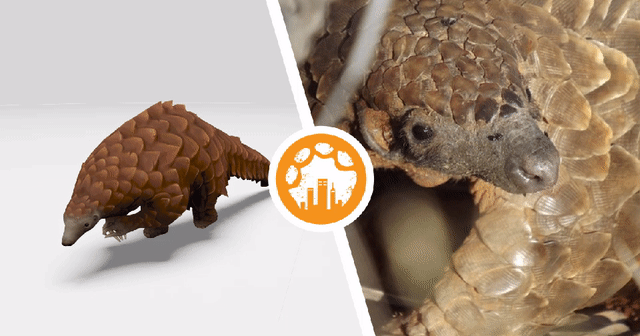 pangolin-optim.gif