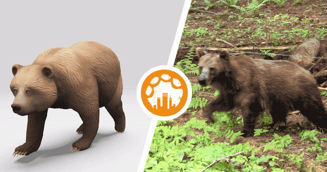grizzly-optim.gif
