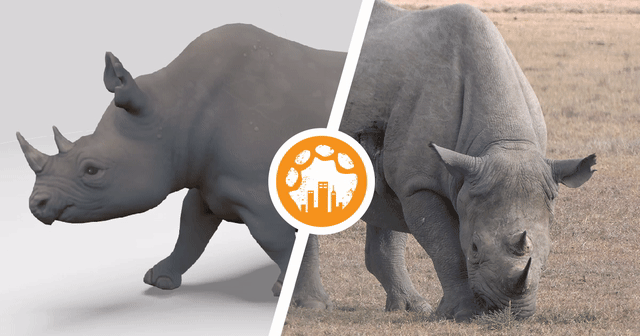 rhino-optim.gif