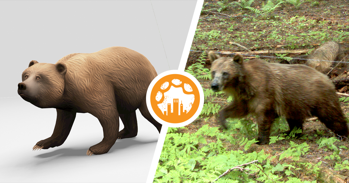 Ethyl the grizzly bear