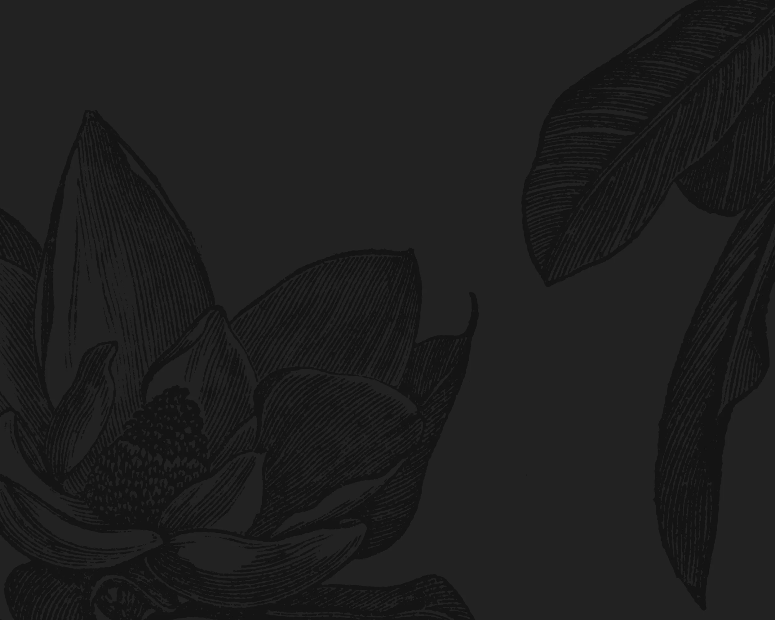 gray-magnolia-bg-3.jpg