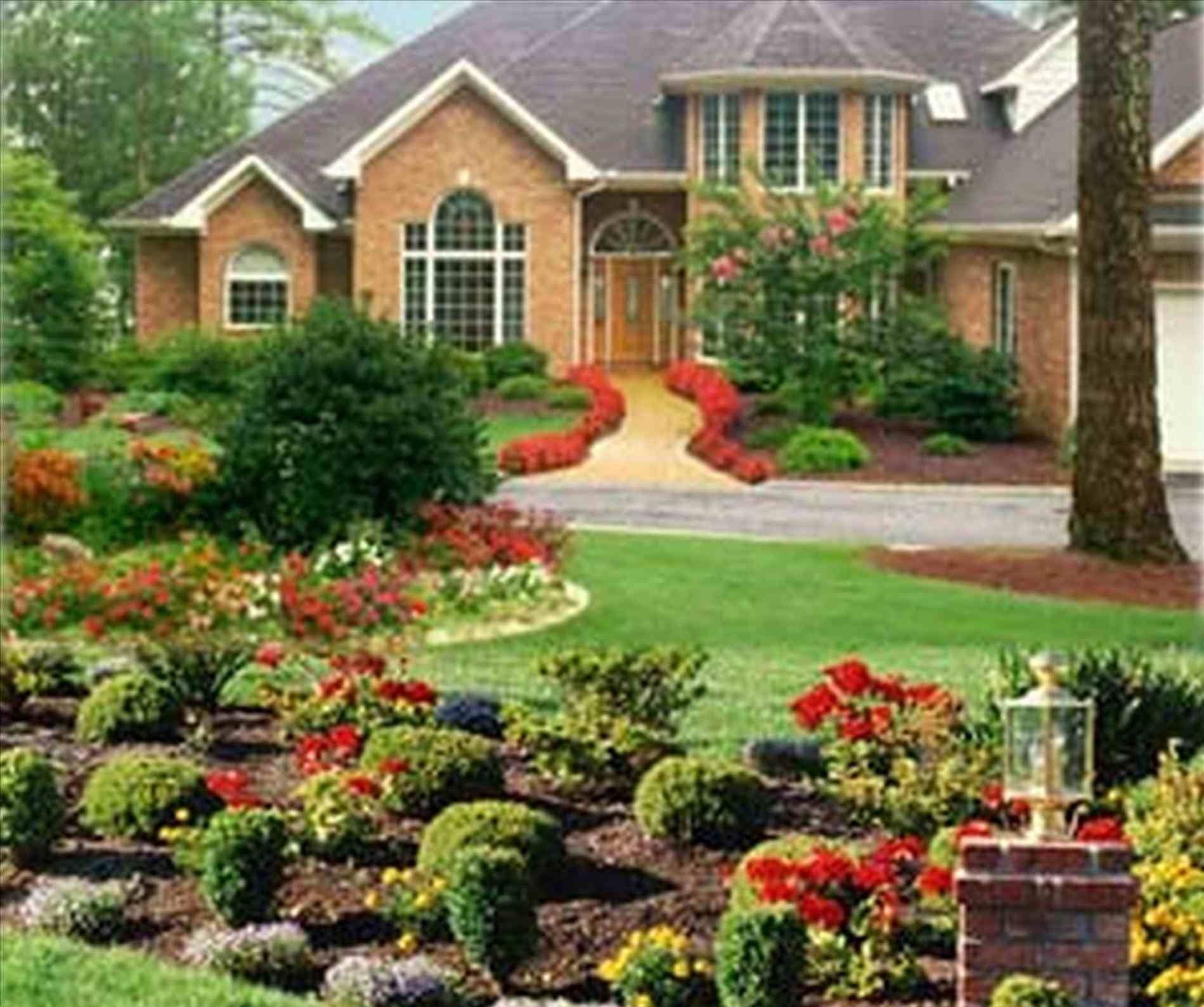 yard+picture.jpg