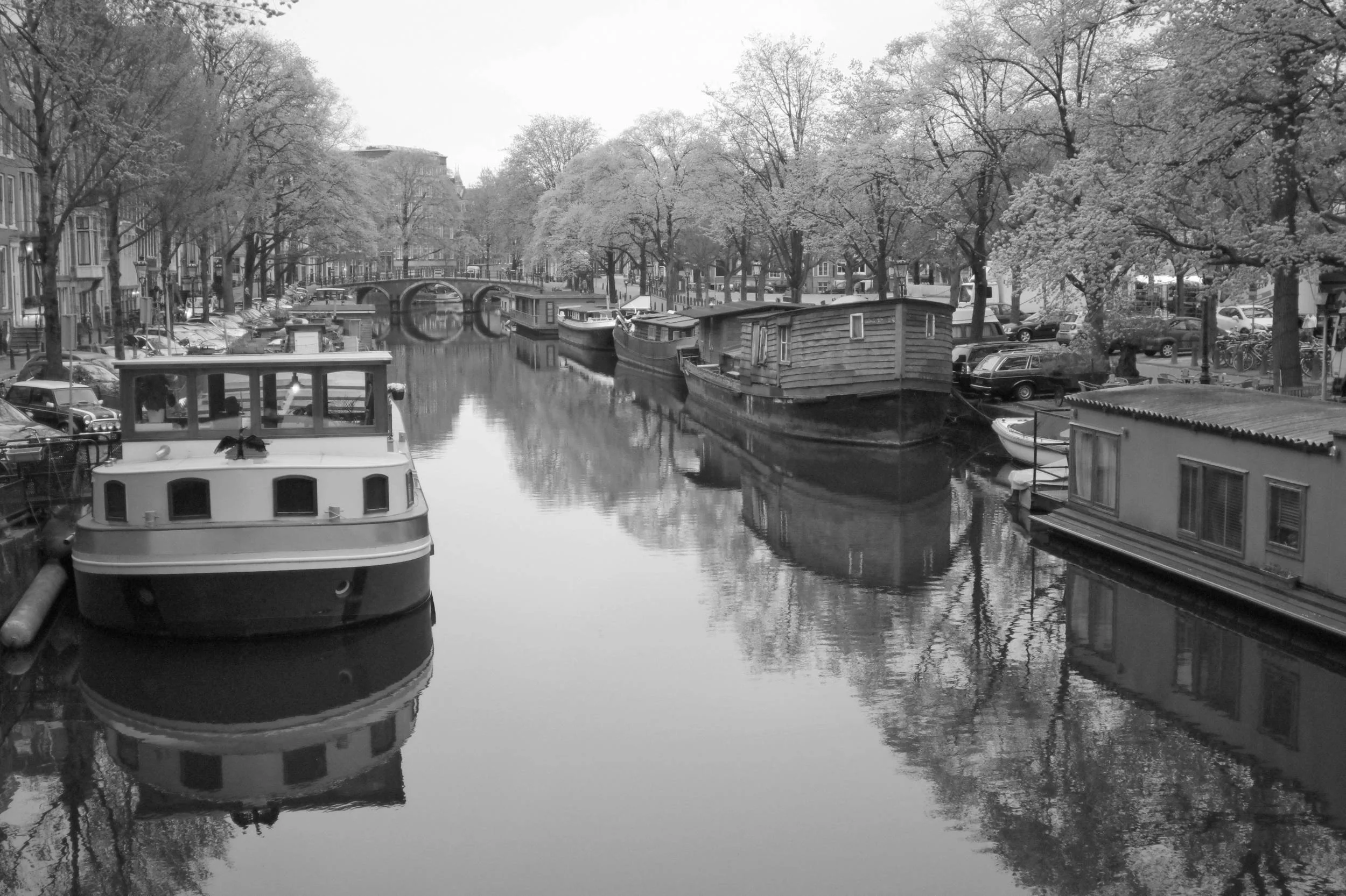 amsterdam-amstelveld.jpg