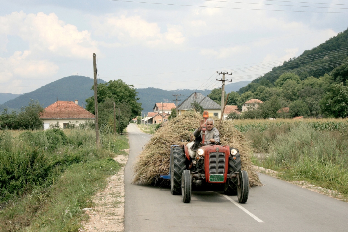 Lucani, Serbia