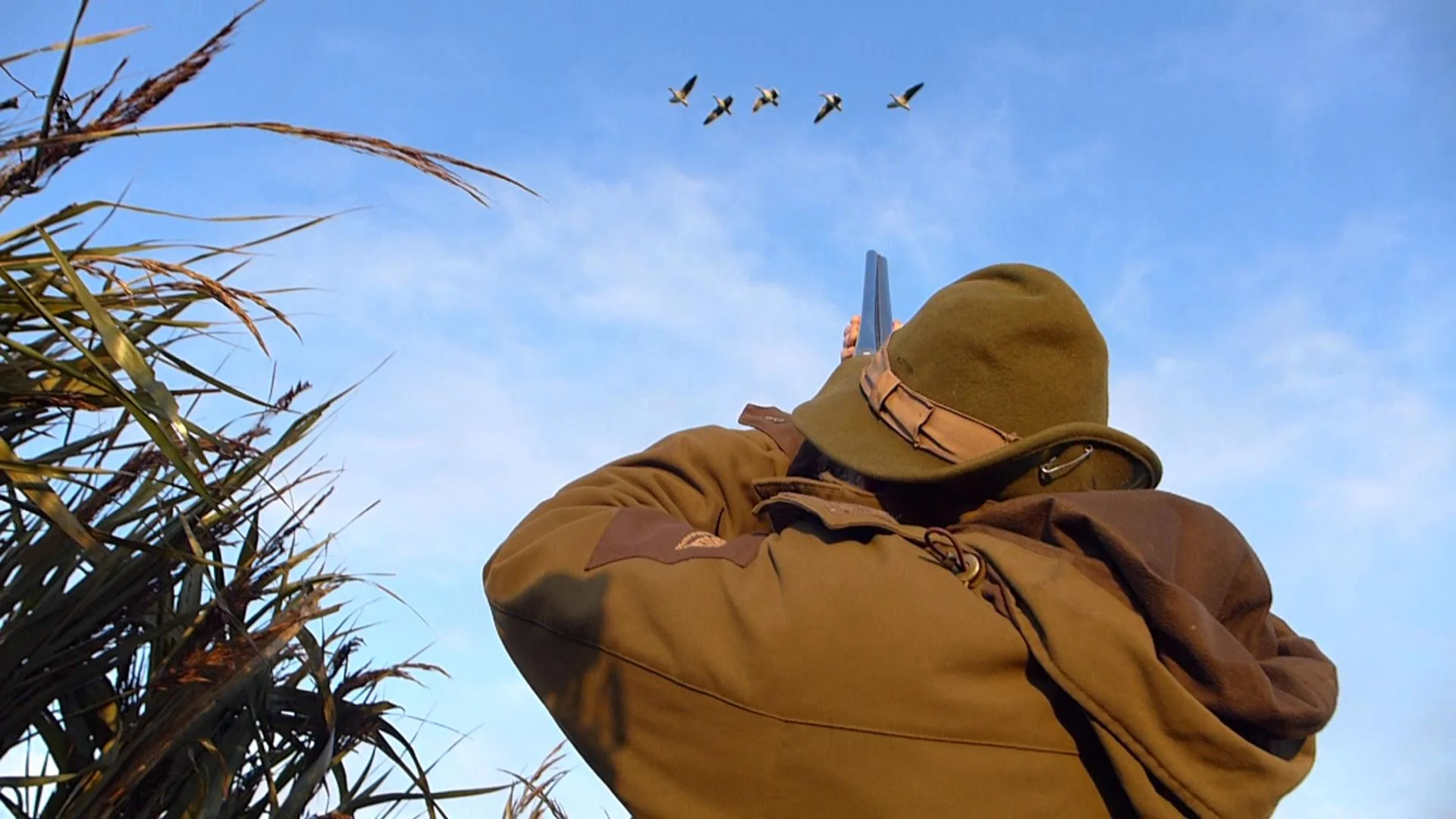 Hunting geese