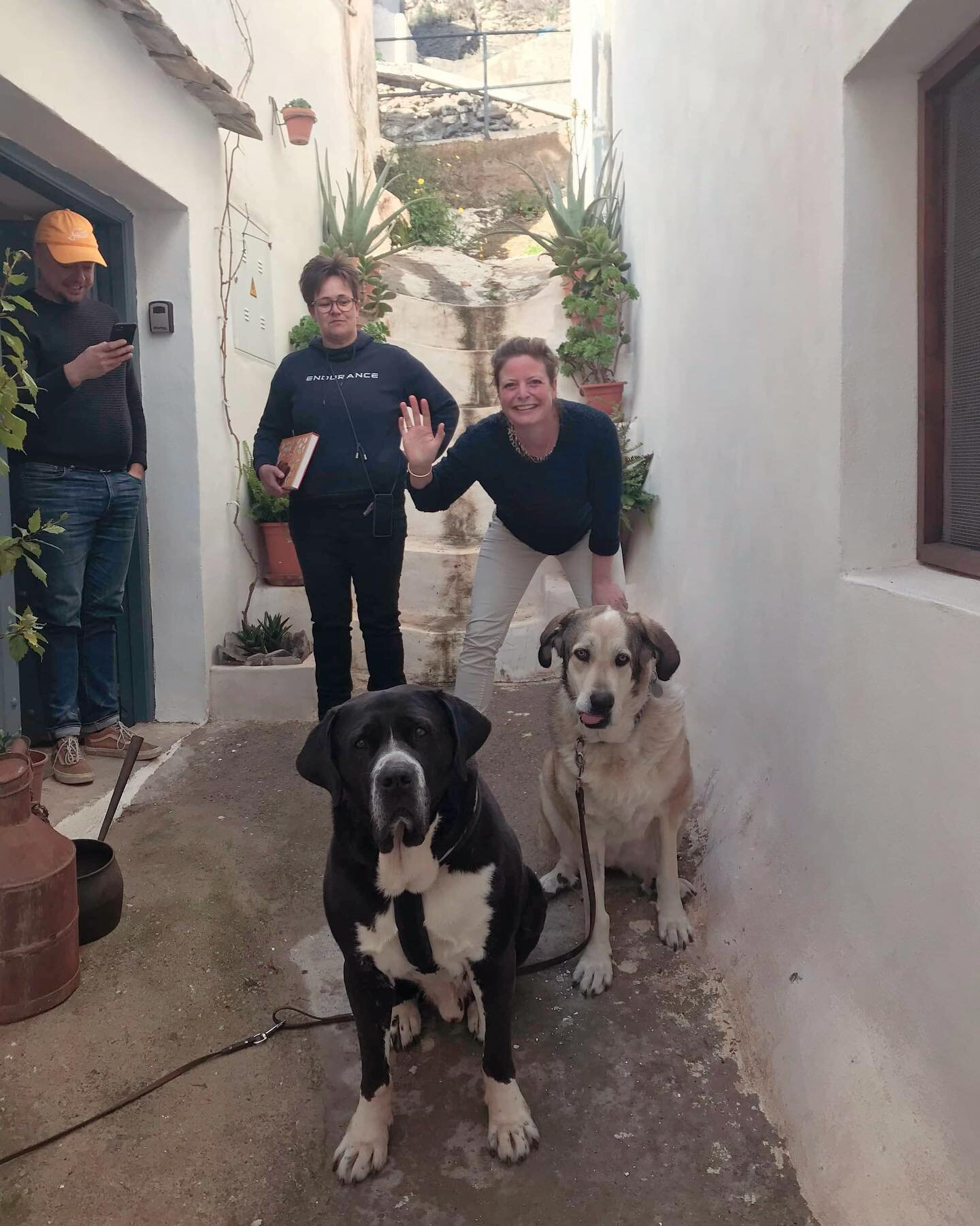 Every Hello is a Goodbye waiting to happen.
Making new friends with every visit in Polopos, even Leia made a friend. Ozzie the 70kgs of pure mastin sweetness.
❤️🐕
Elke Hallo is een afscheid dat staat te gebeuren.
Elke bezoeker aan onze bnb in Polopo