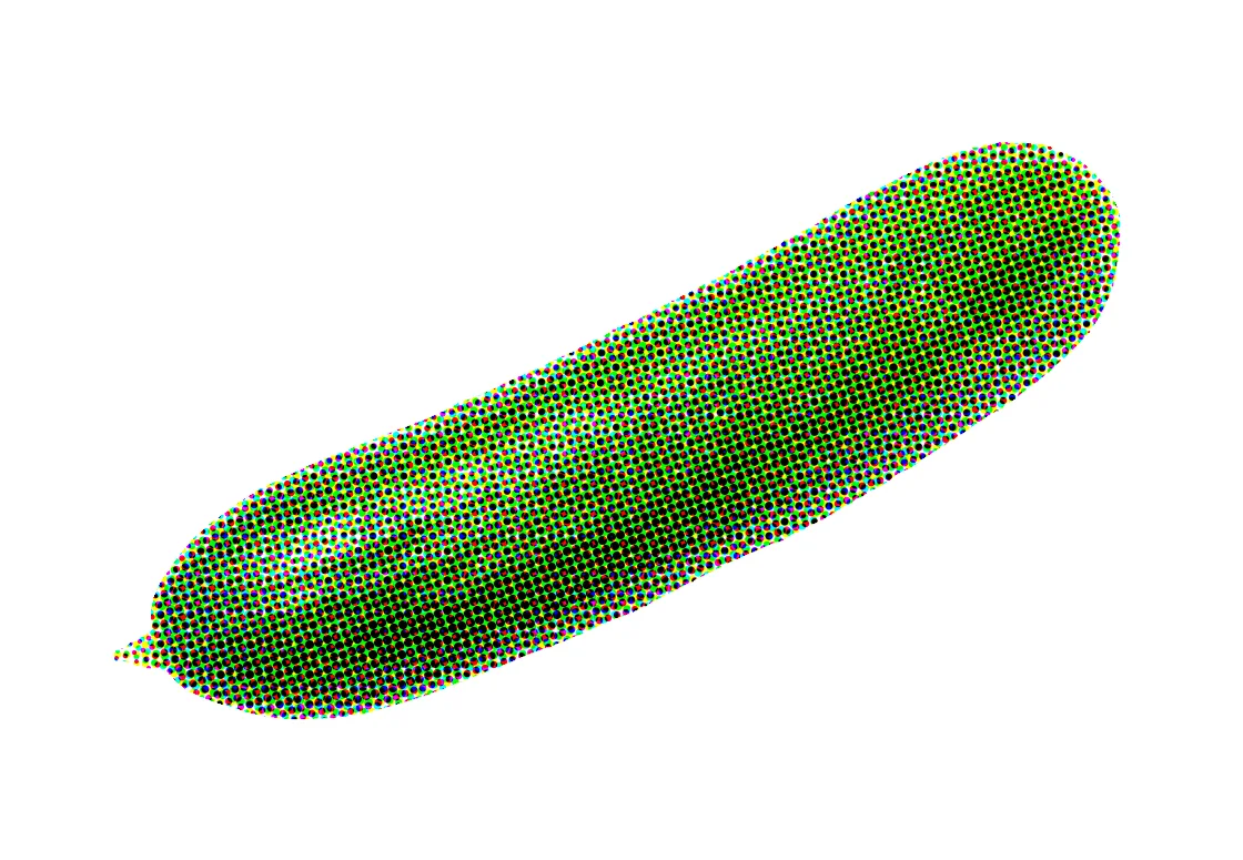 Gurke.jpg