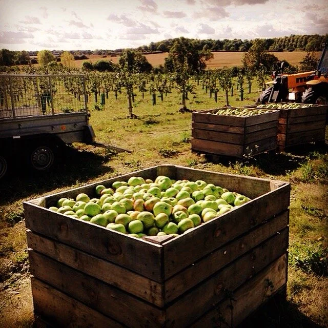 Saxby's Cider Vinegar with The Mother now available in our shop