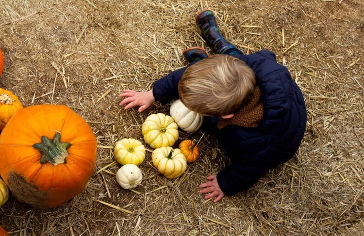 Emma B pumpkin photography 3.jpg